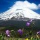 Mount Damavand: The highest peak in Iran and the Midle East
